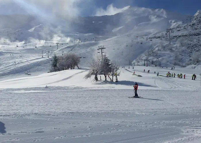 ホリデーパーク Vvf 